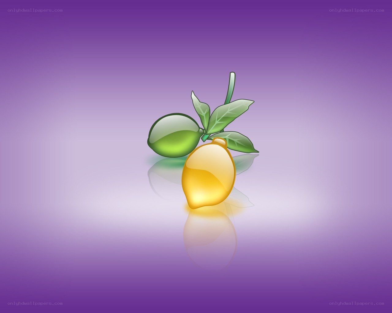 lemon and lime illustration
