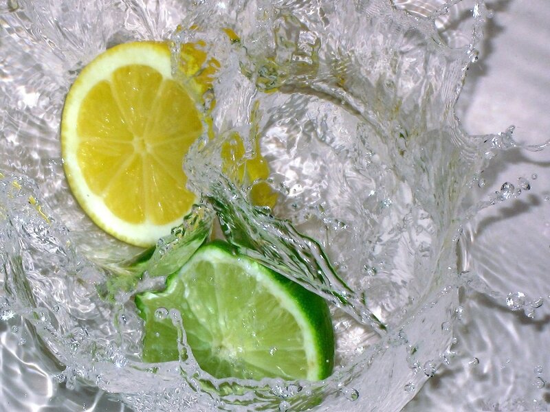 Lemon and Lime Slices