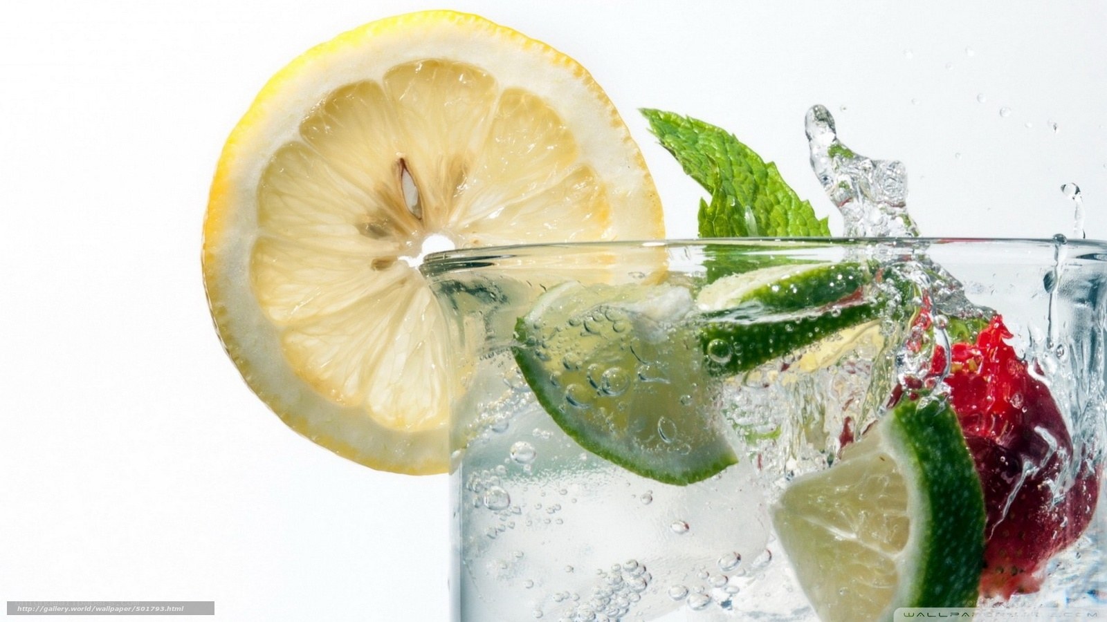 lemon and mint in sparkling water