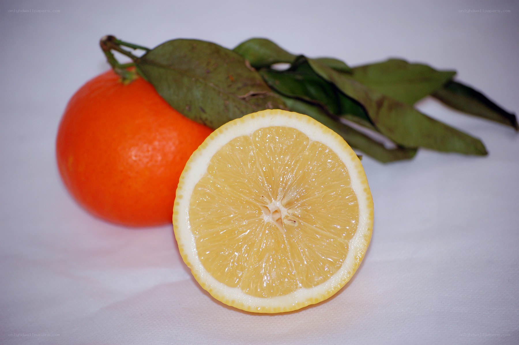 lemon and orange with leaves