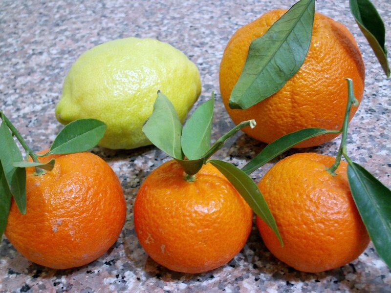 Lemon and Tangerines