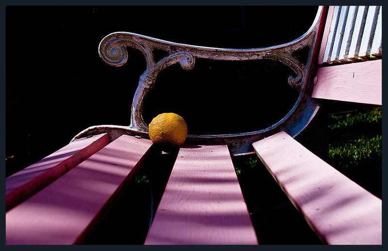 lemon on a park bench