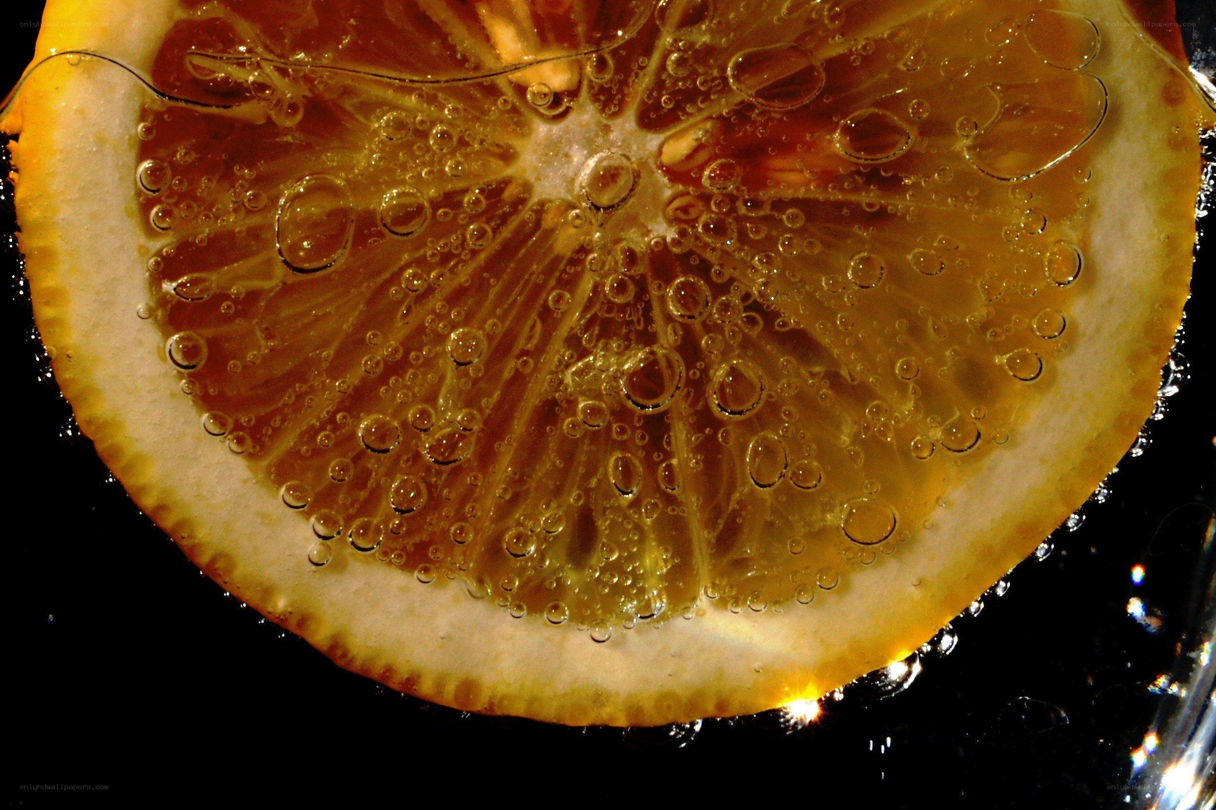 lemon slice in carbonated water