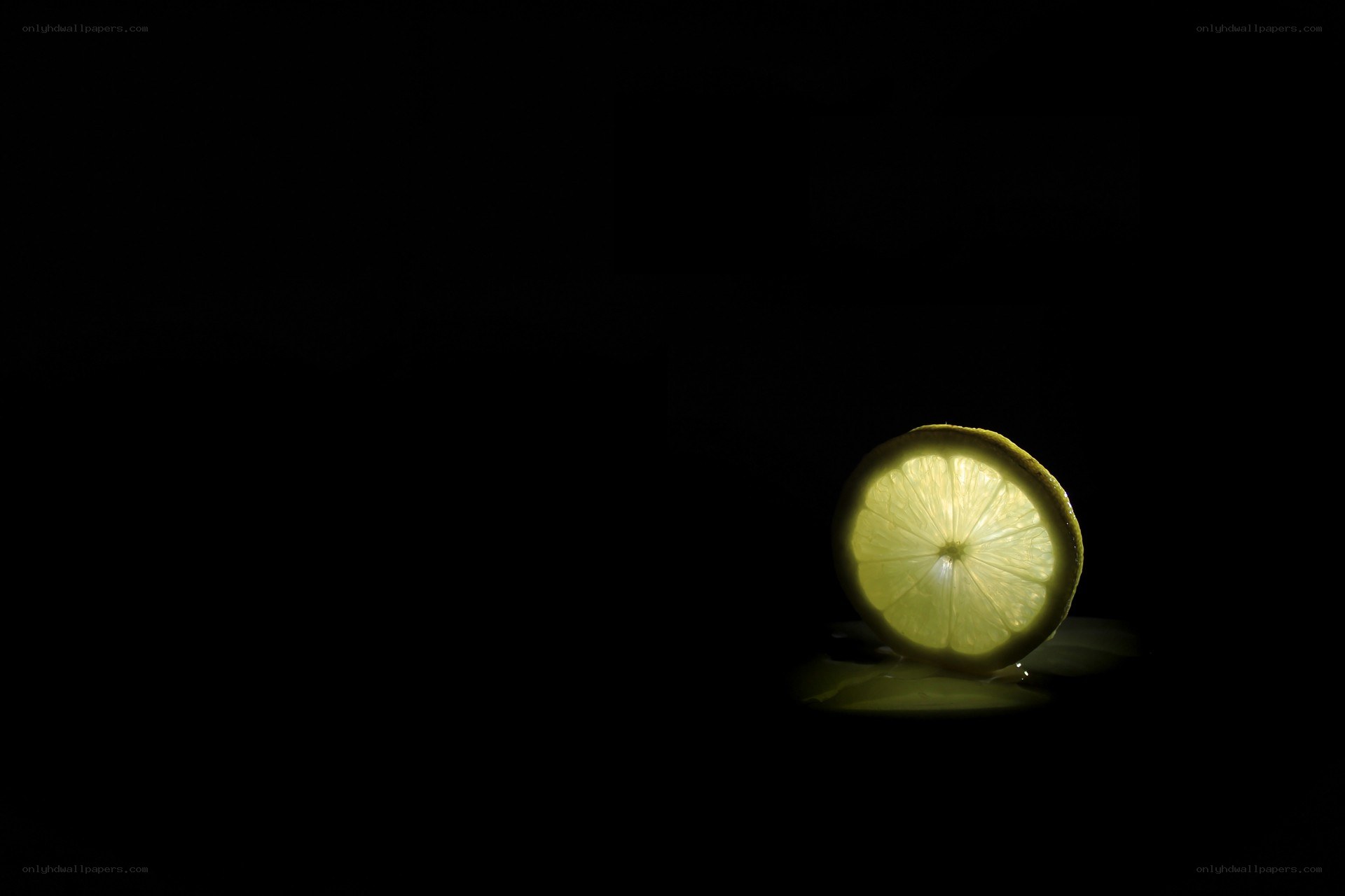 lemon slice in darkness
