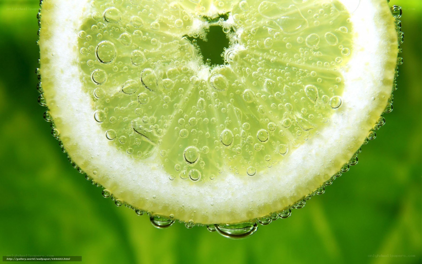 lemon slice in sparkling water