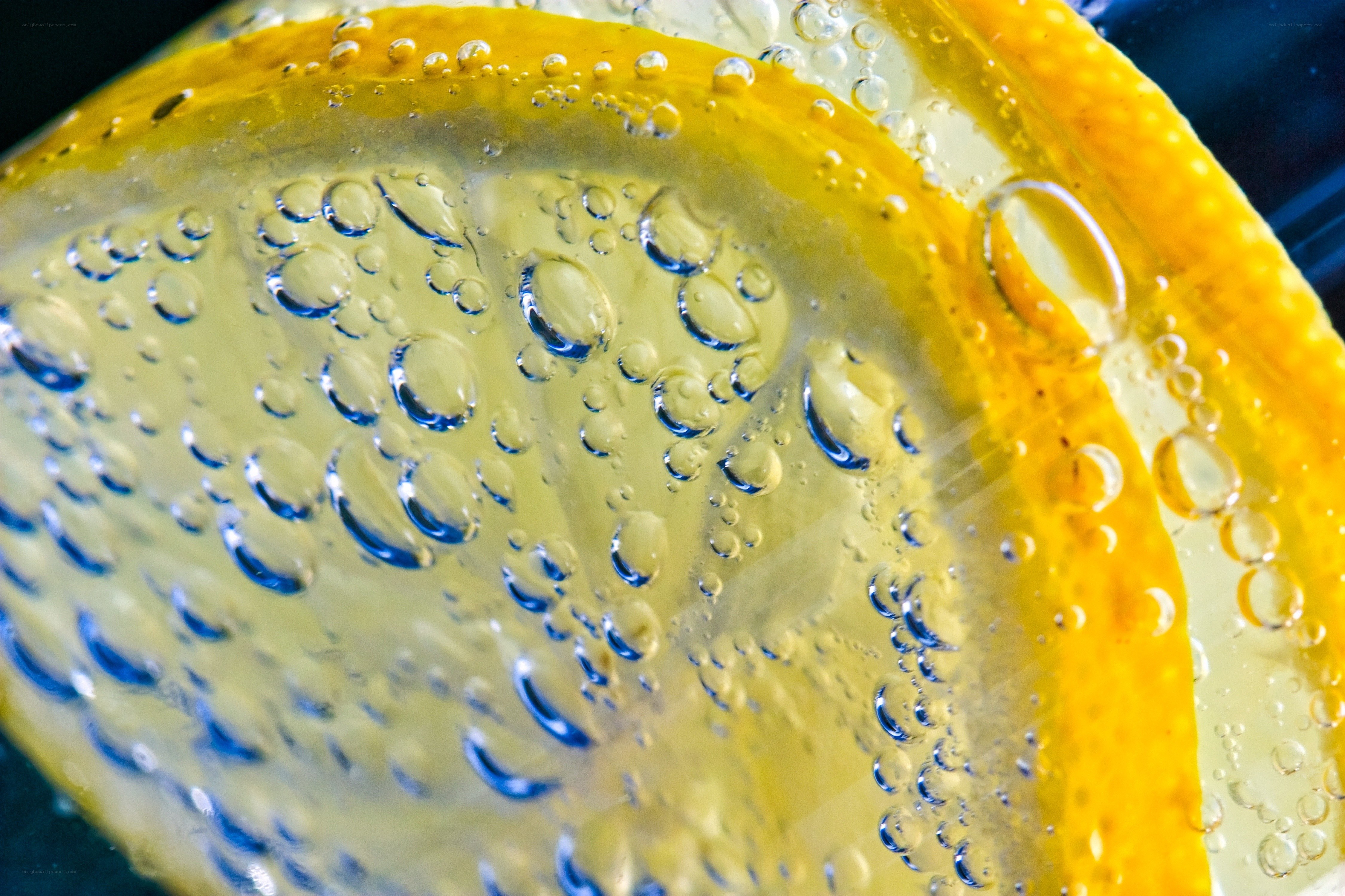 lemon slice in sparkling water