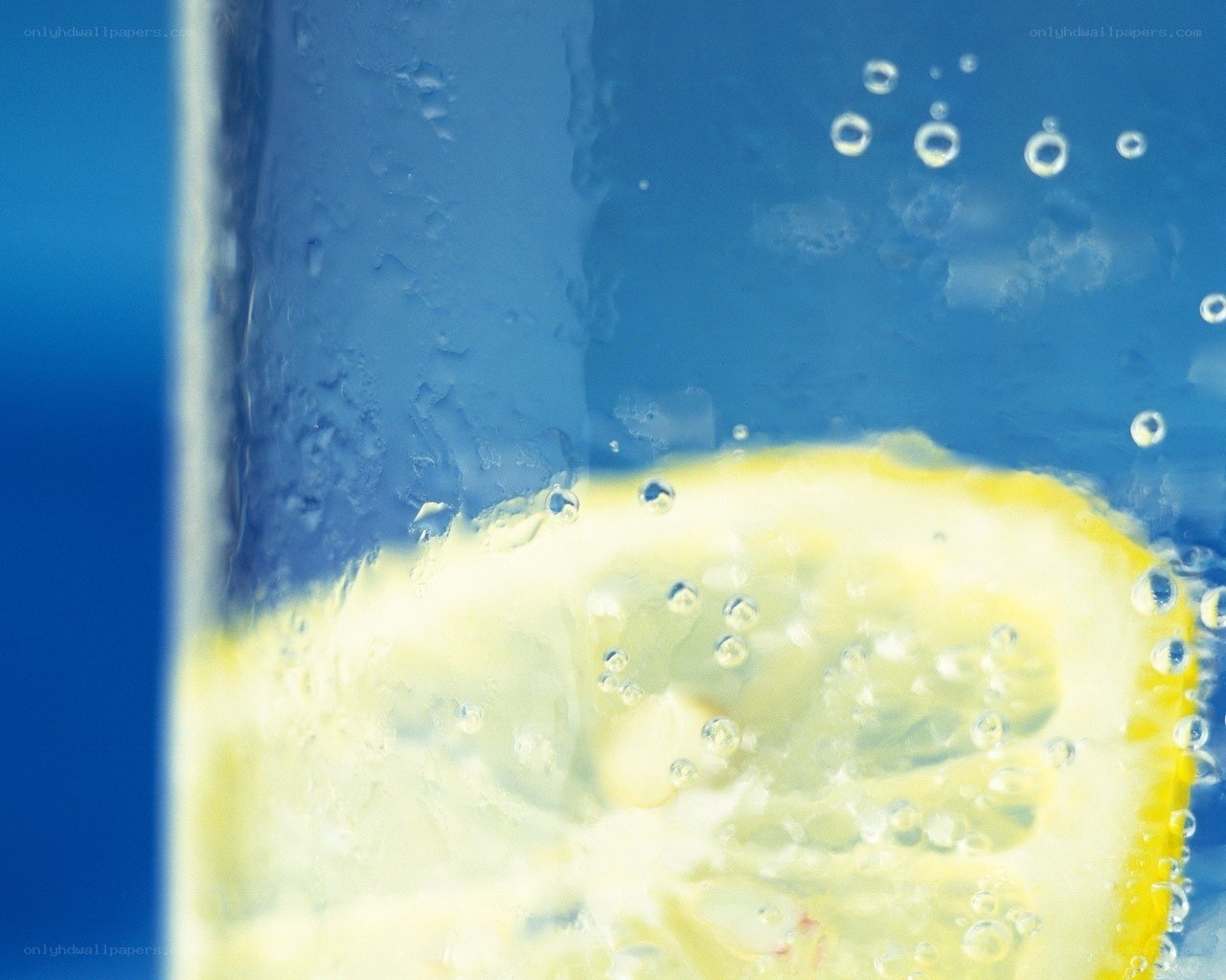 lemon slice in sparkling water