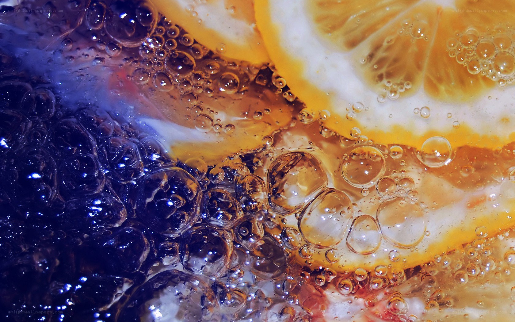 lemon slices in carbonated water