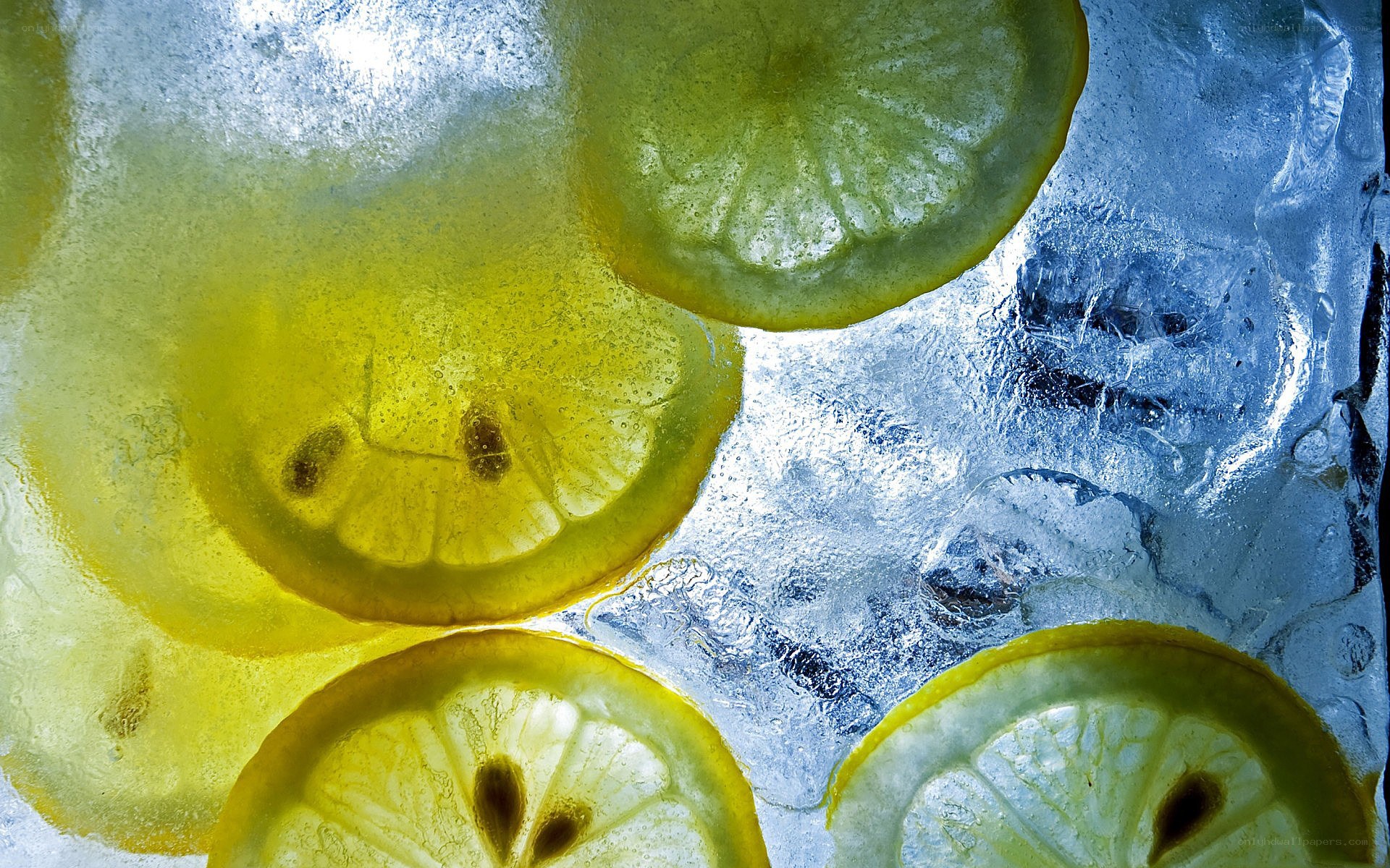 lemon slices in ice