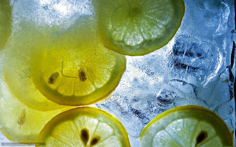 Lemon Slices in Ice — Yellow, Cool, Photograph