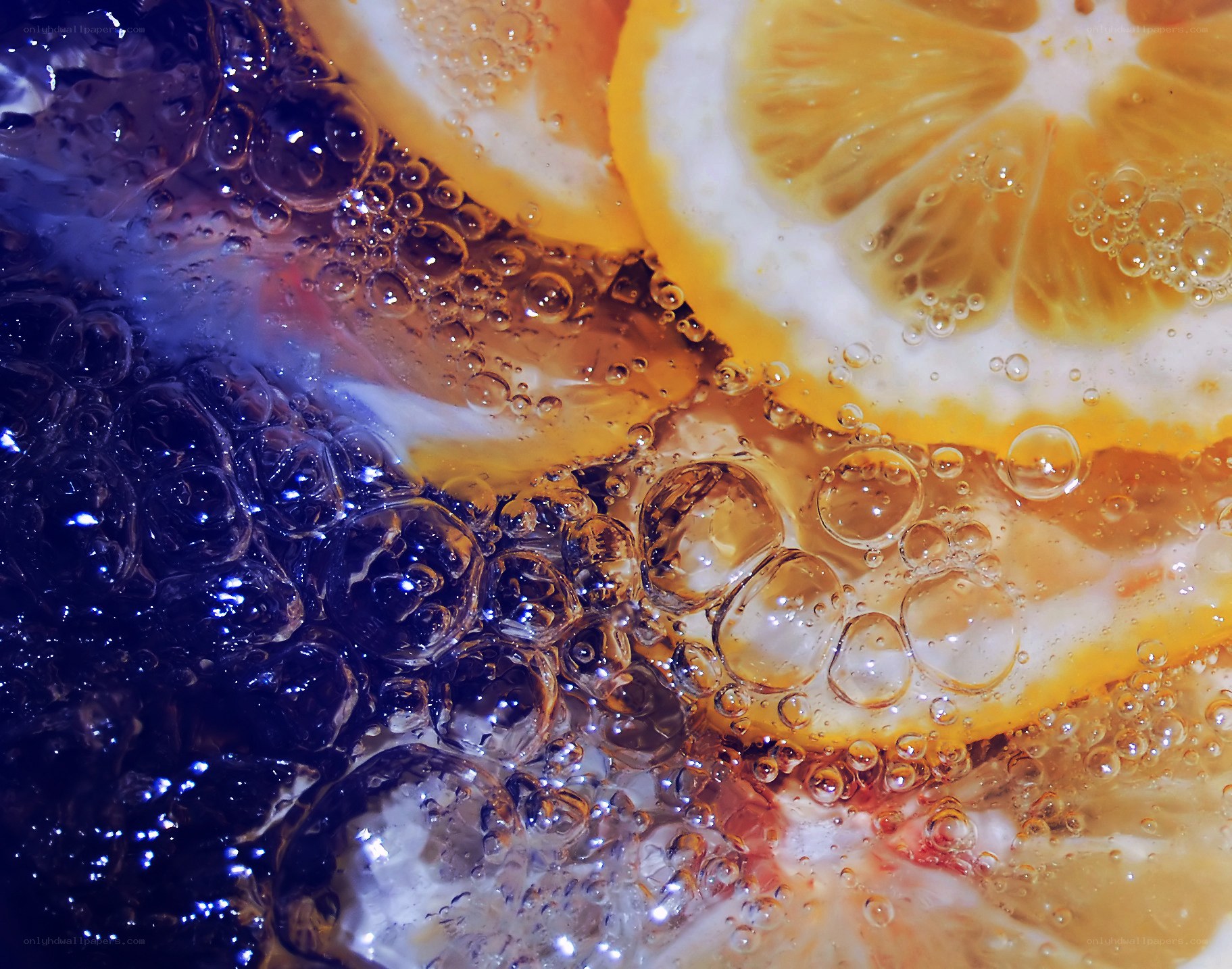lemon slices in sparkling water