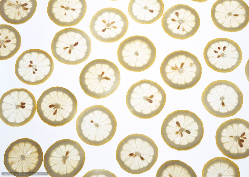 lemon slices pattern