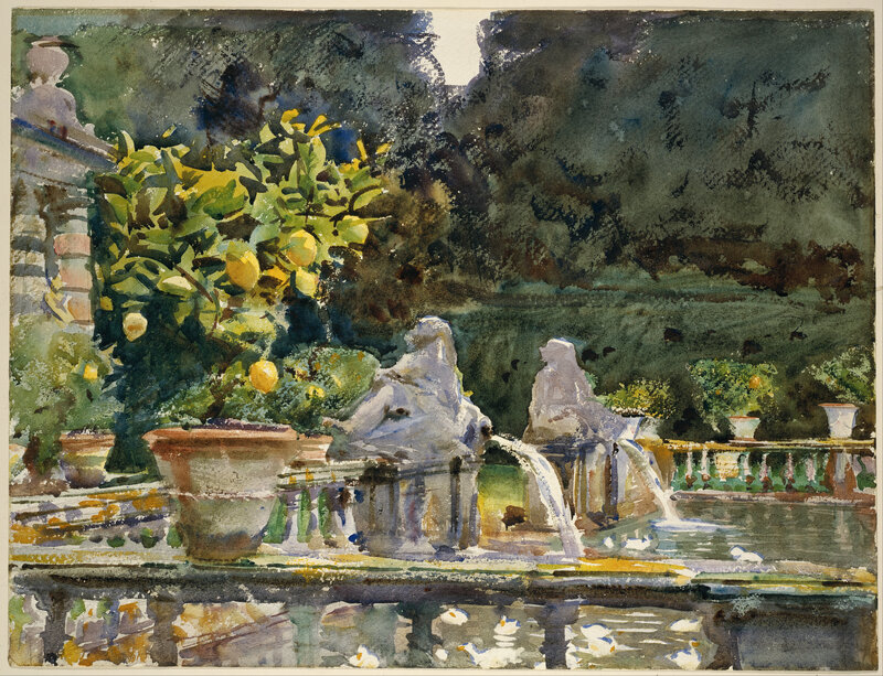 Lemon Tree in Garden — Green, Serene