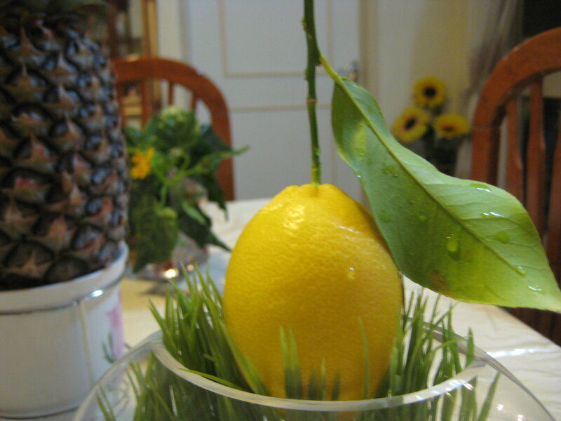 Lemon with Leaf and Grass