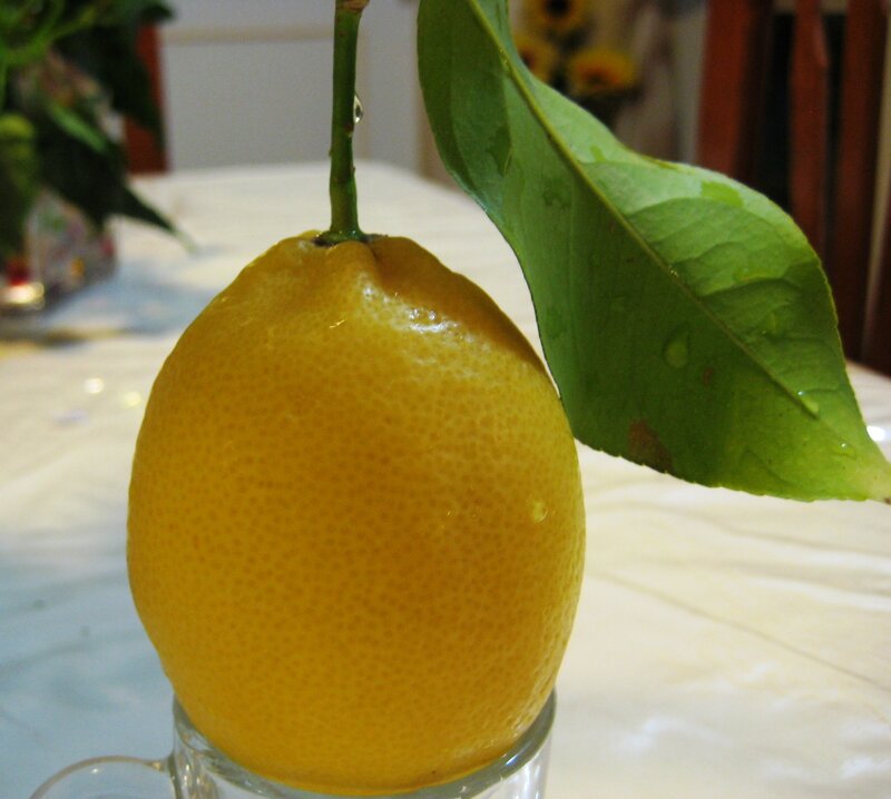 Lemon with Leaf