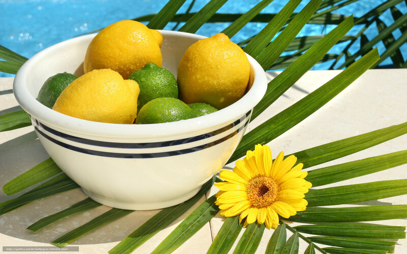 Lemons and limes by pool