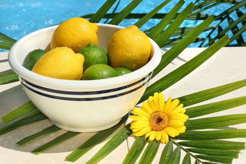 Lemons and Limes in Bowl — Yellow