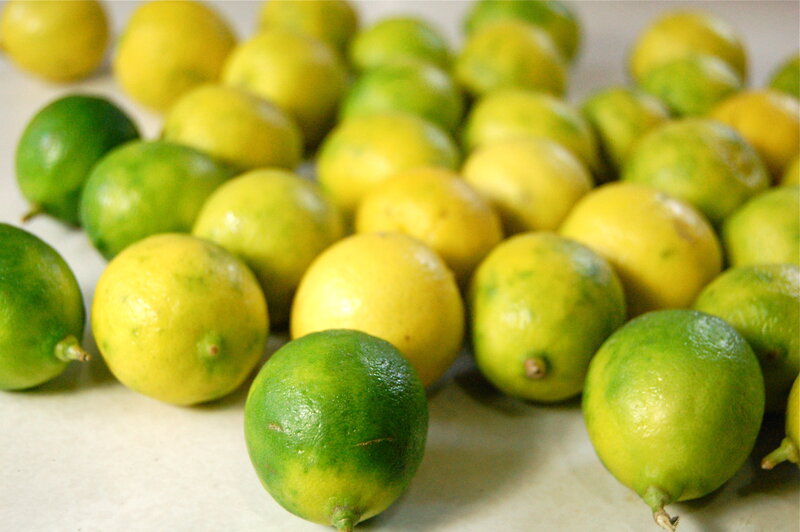 Lemons and limes on a table