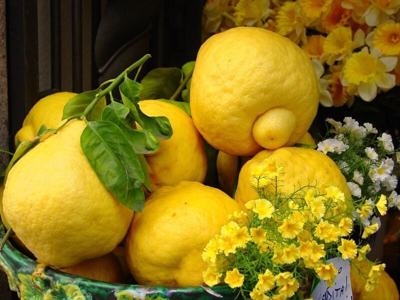 Lemons in a Bowl
