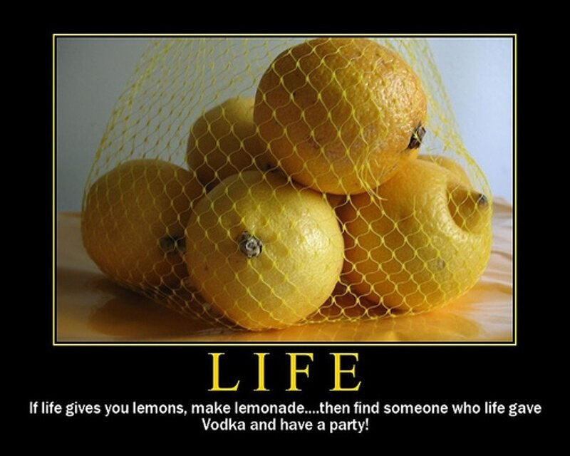 Lemons in a Mesh Bag