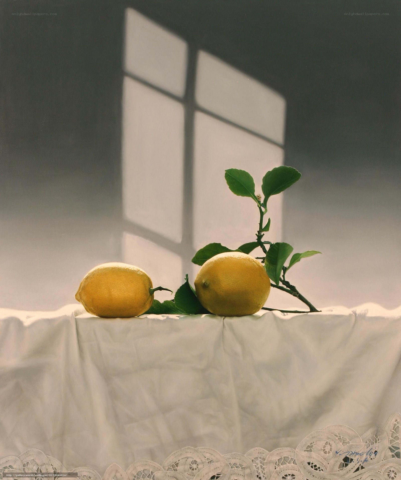 Lemons on a white cloth
