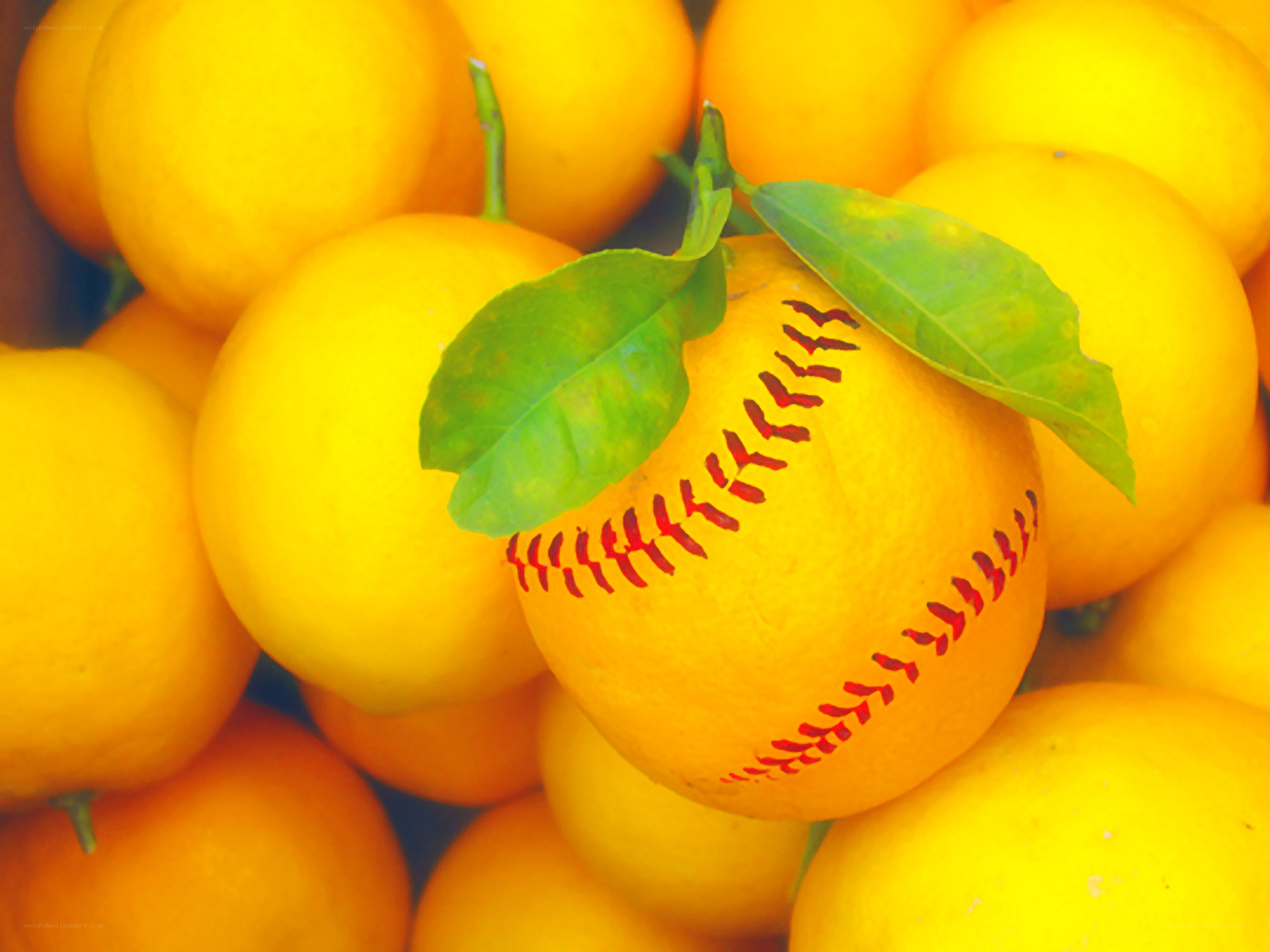 lemons with a softball