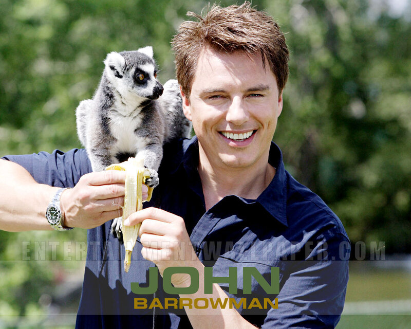 Lemur on Man's Shoulder