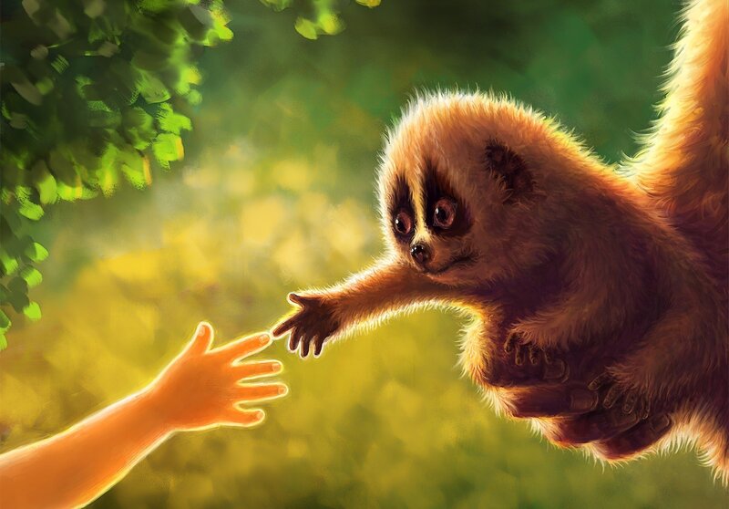 Lemur Reaching Hand