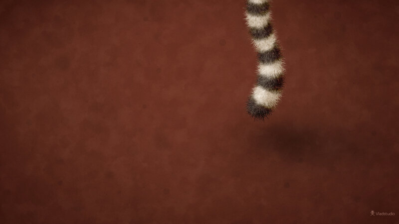 Lemur Tail — Brown