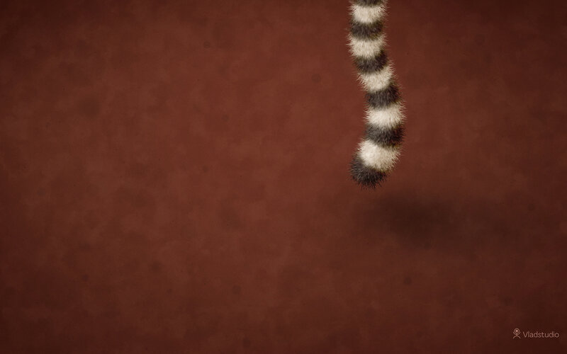Lemur Tail