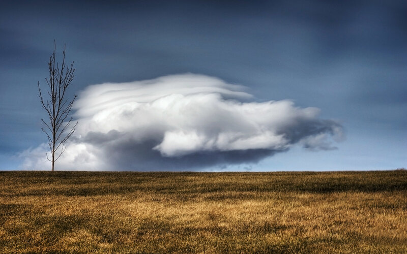 Lenticular cloud over a field