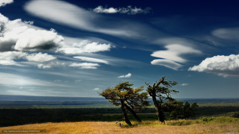 Lenticular clouds over a field