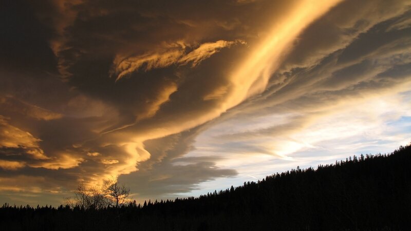 Lenticular Clouds over Forest