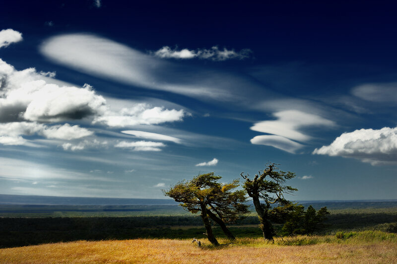 Lenticular clouds over grassland