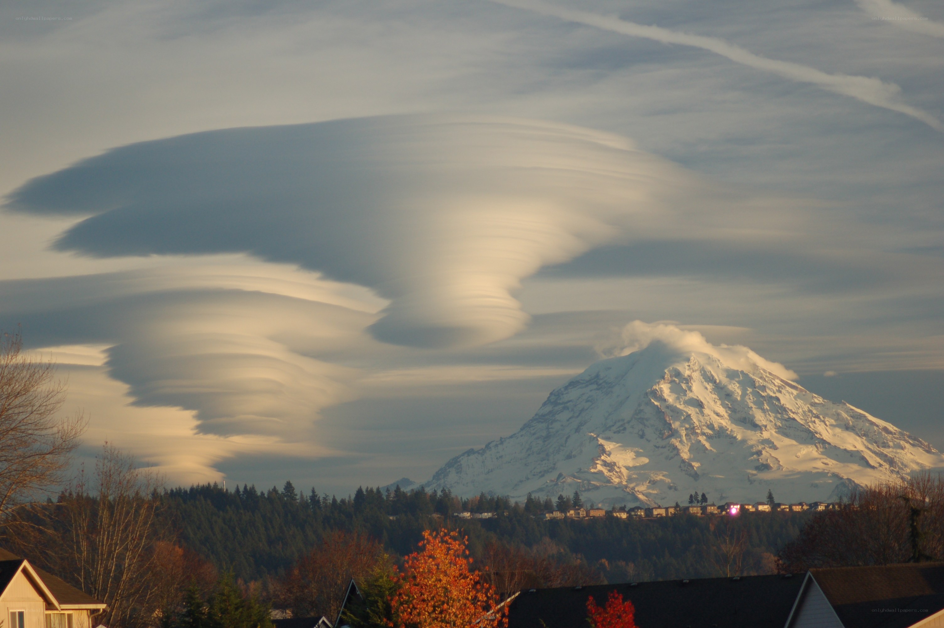 Lenticular clouds over Mount Rainier