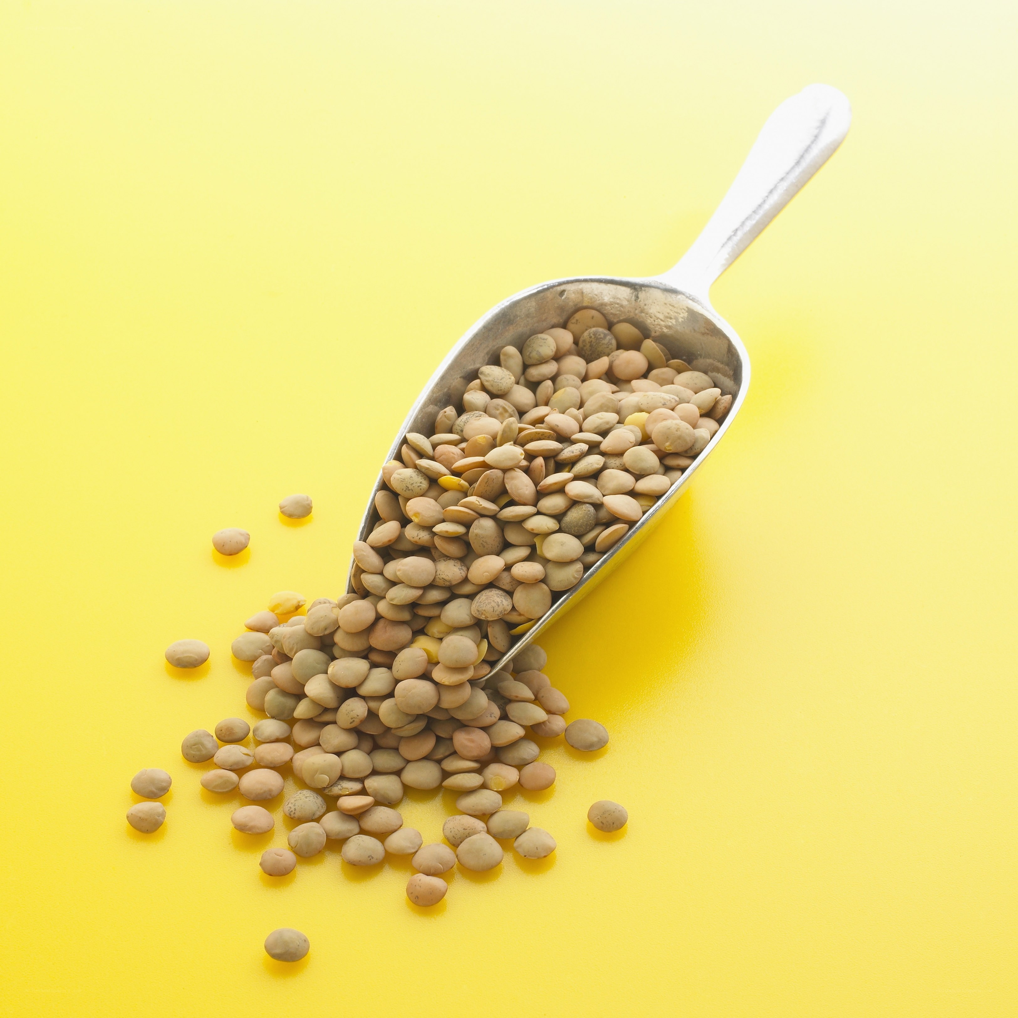 lentils in a scoop