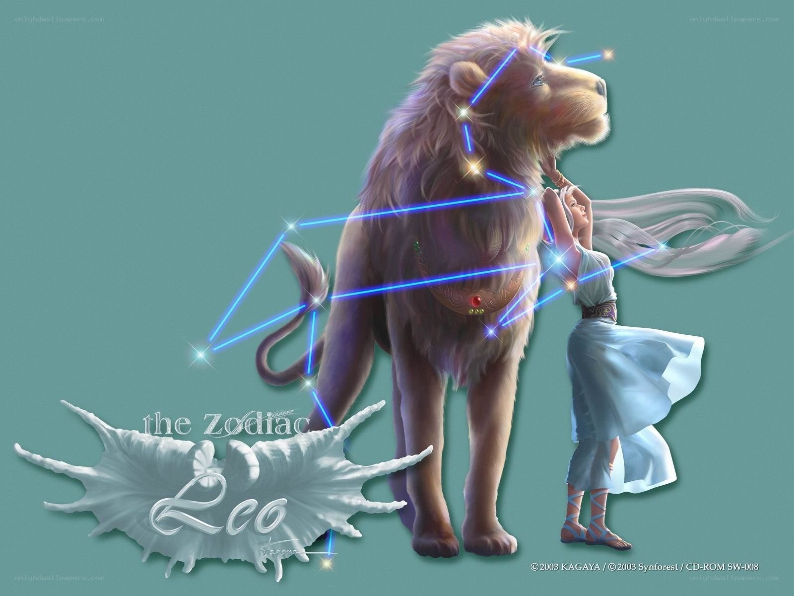Leo zodiac illustration
