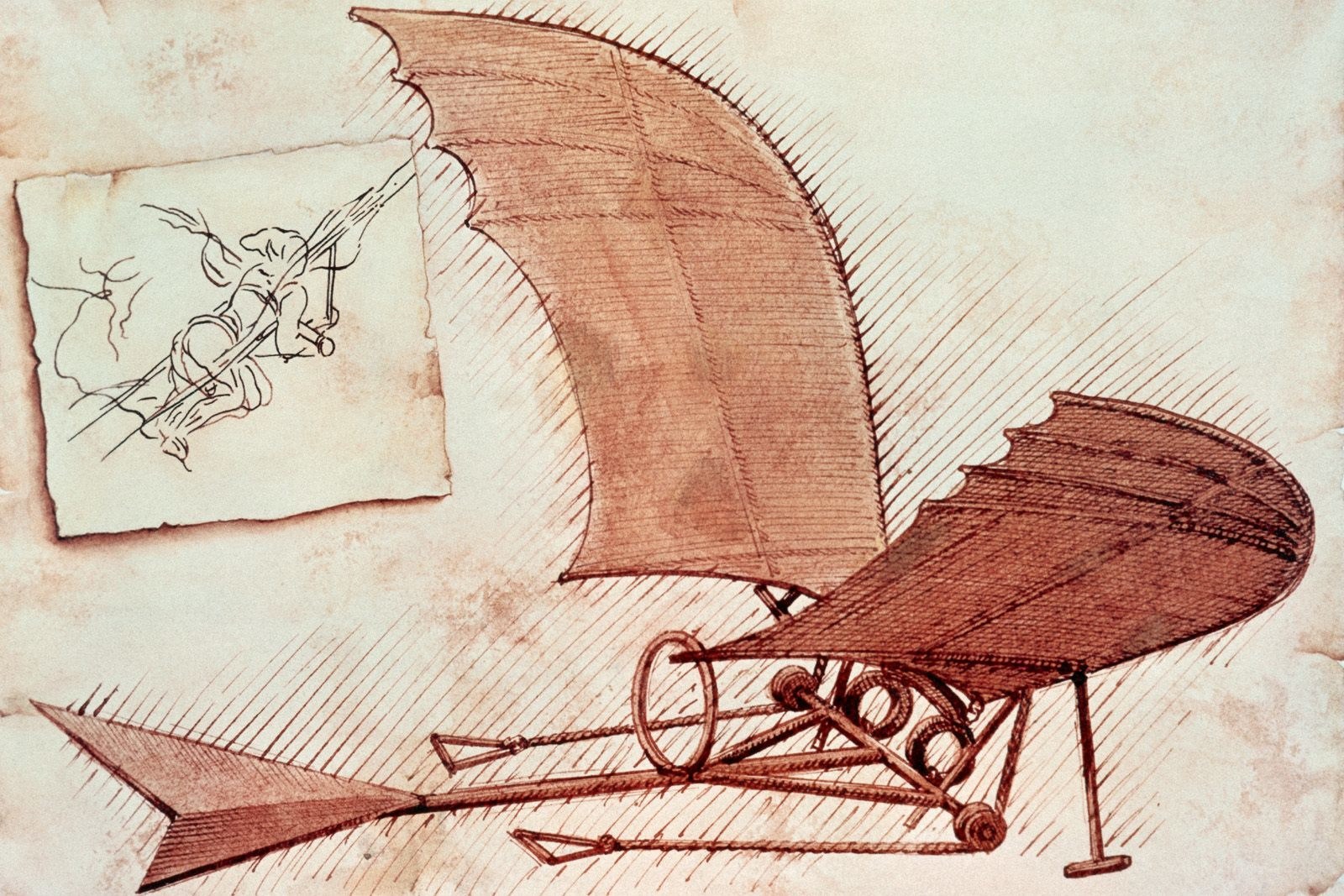 Leonardo da Vinci's flying machine