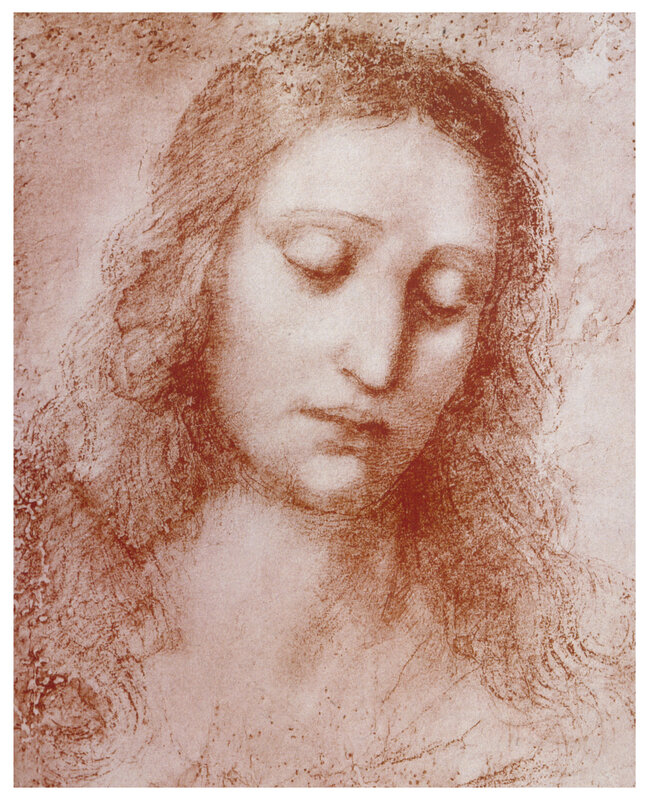 Leonardo da Vinci's head study