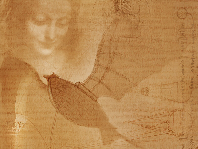 Leonardo Da Vinci Sketch — Brown