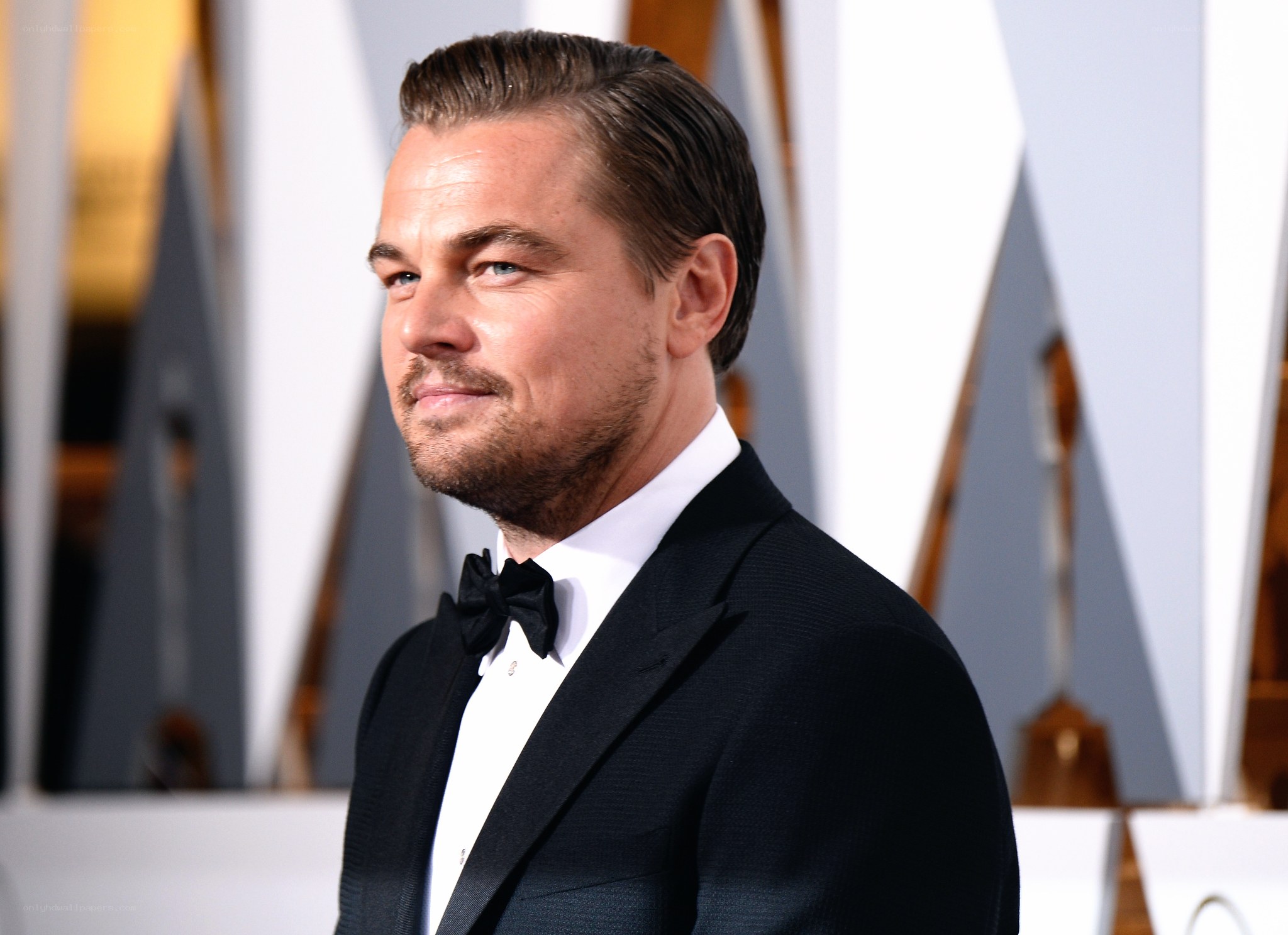Leonardo DiCaprio at awards event