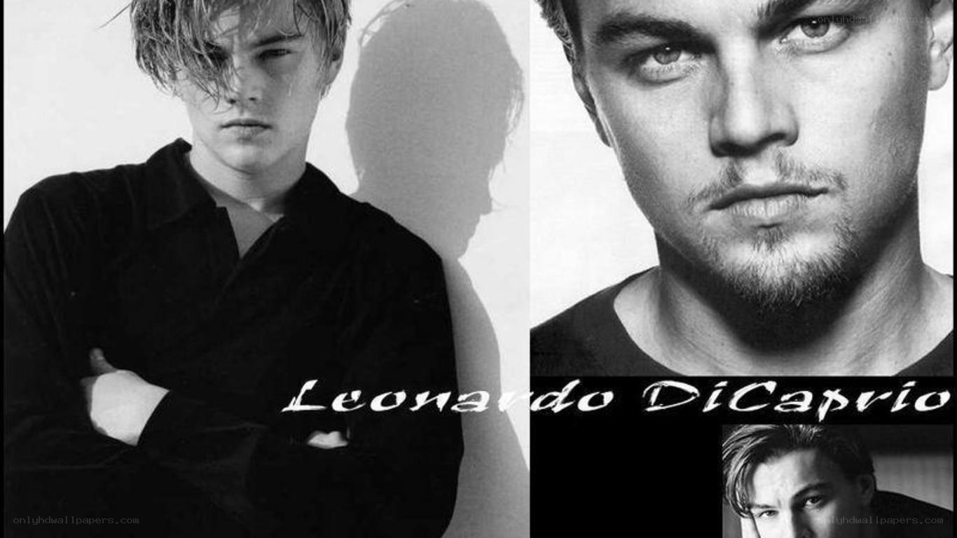 Leonardo DiCaprio collage