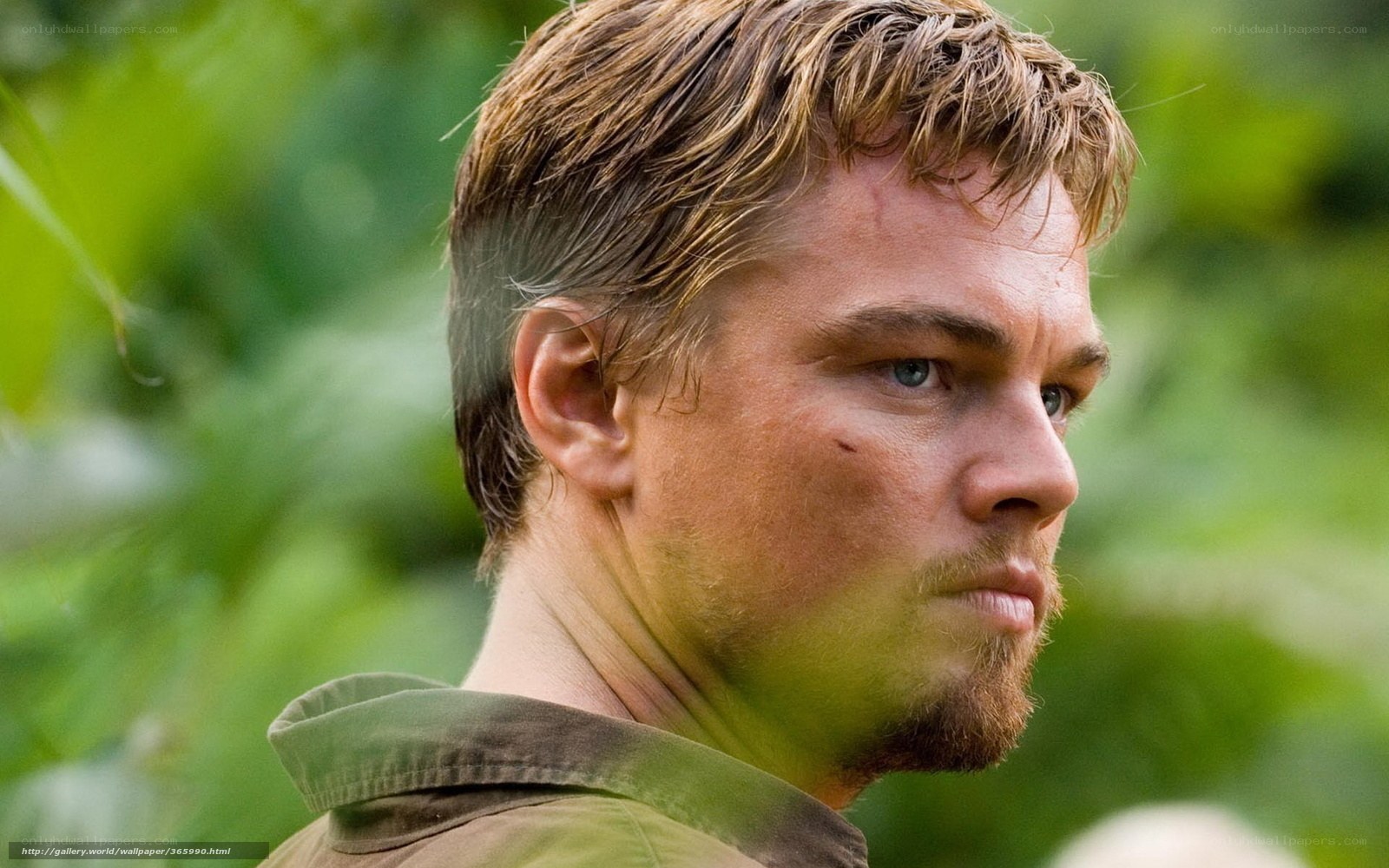 Leonardo DiCaprio in jungle