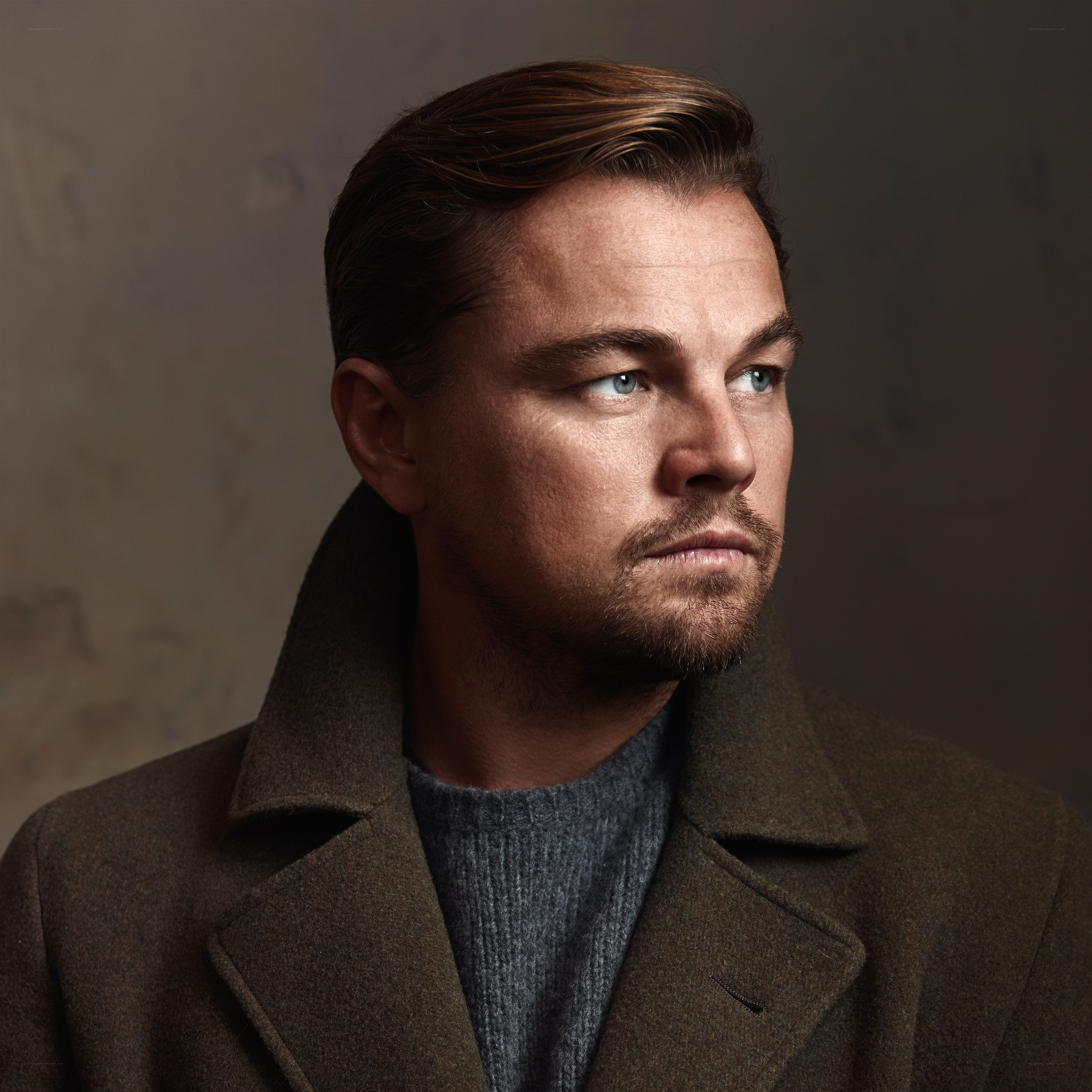 Leonardo DiCaprio portrait