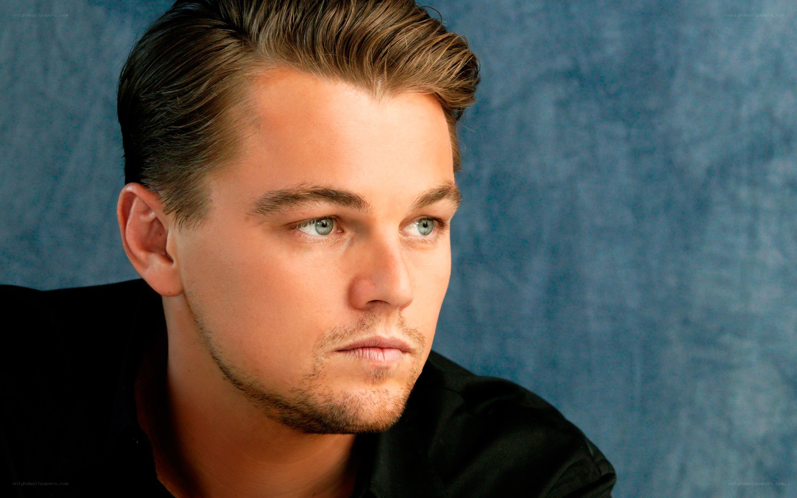 Leonardo DiCaprio portrait