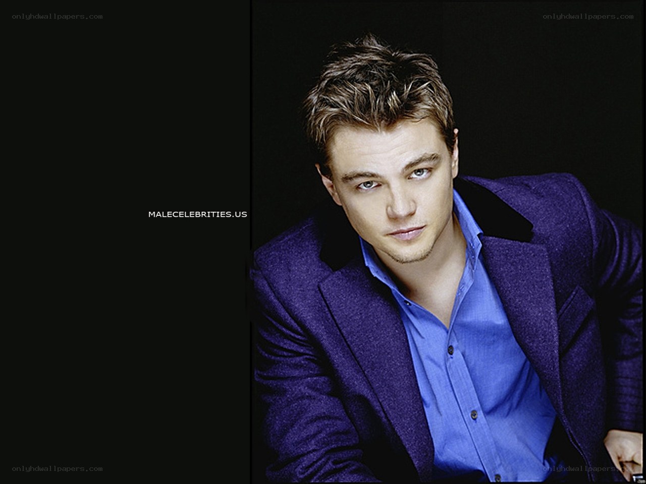Leonardo DiCaprio portrait