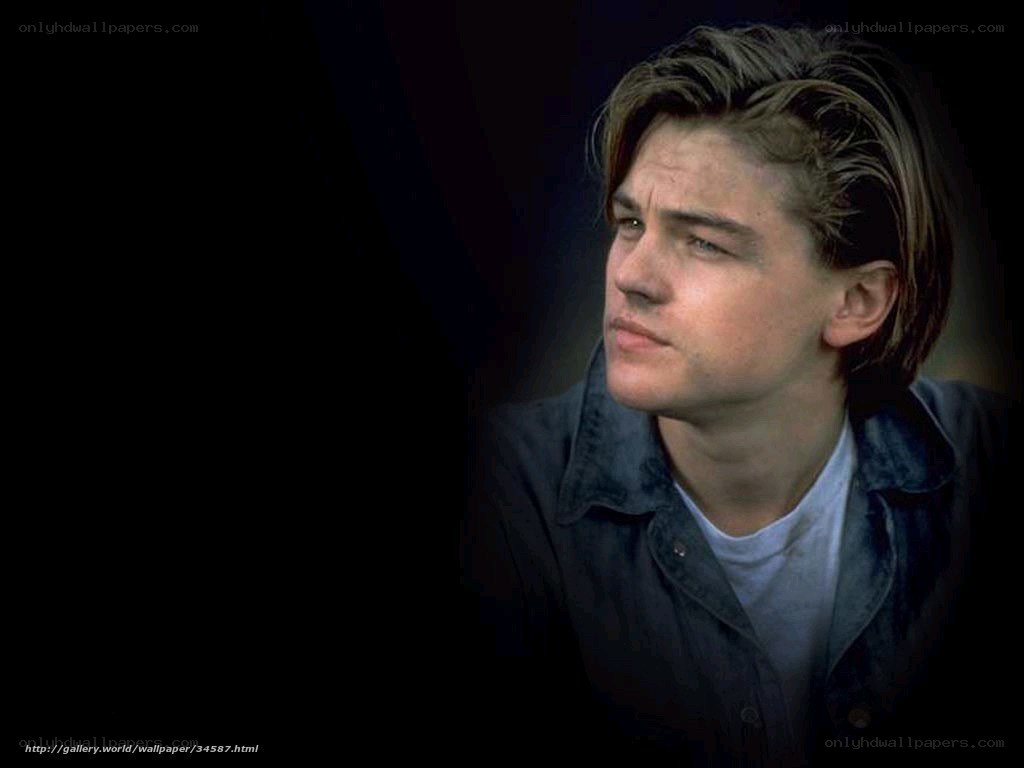 Leonardo DiCaprio portrait