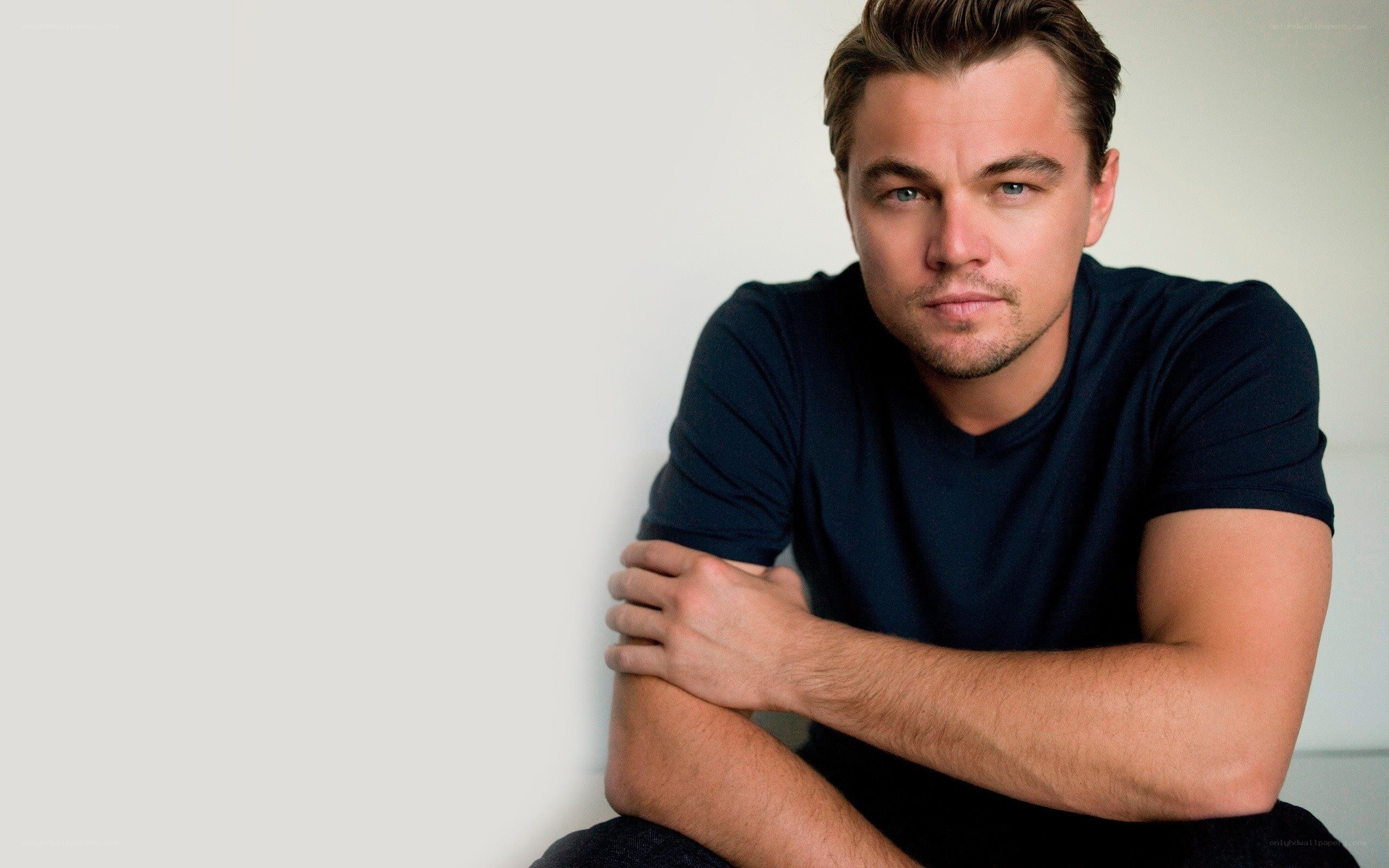 Leonardo DiCaprio portrait