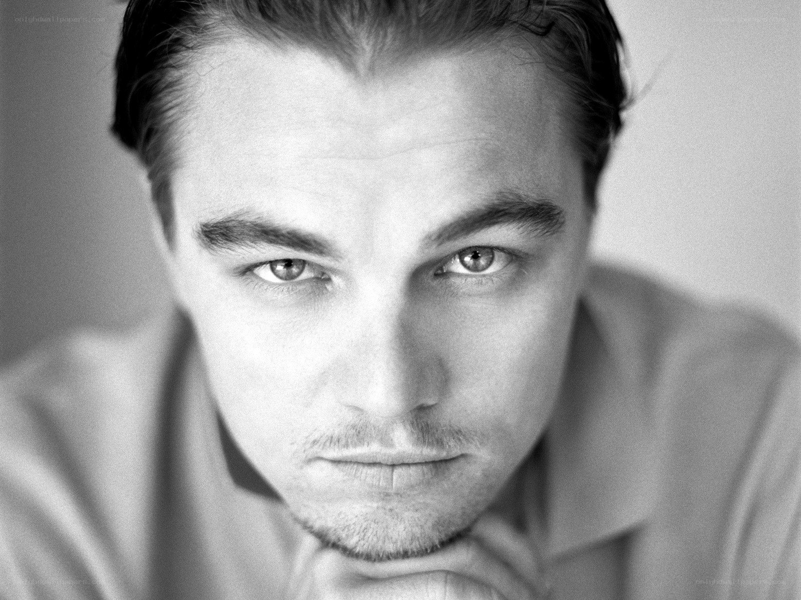 Leonardo DiCaprio portrait