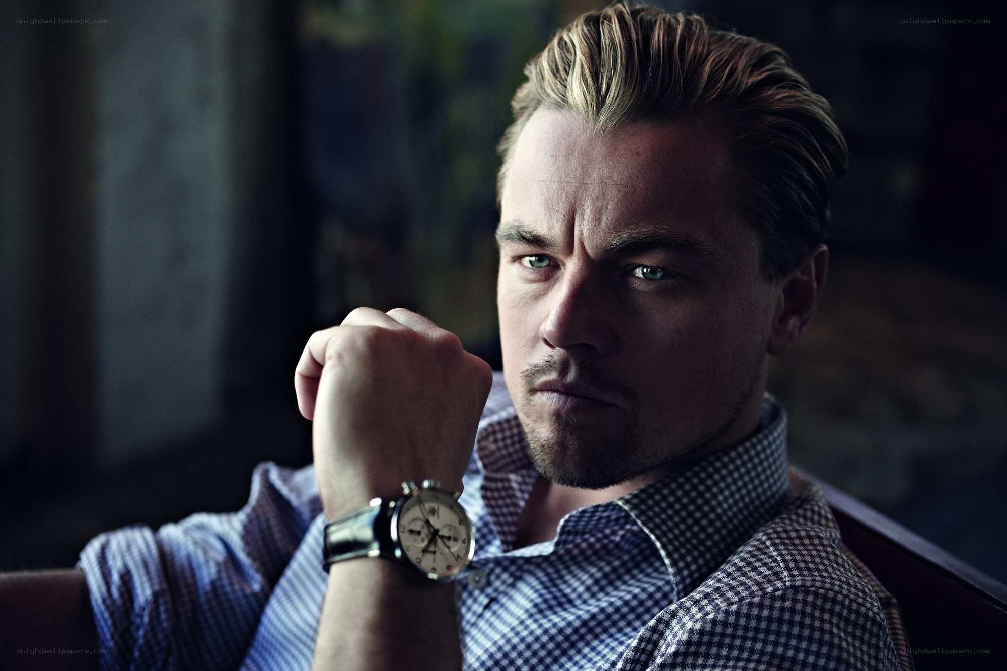 Leonardo DiCaprio portrait